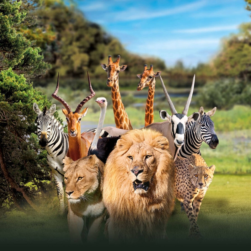 Autour de Nous - Auberge Du Port Des Roches - restaurant LUCHE-PRINGE- - Hôtel Zoo de La Flèche - Restaurant Luché Pringé