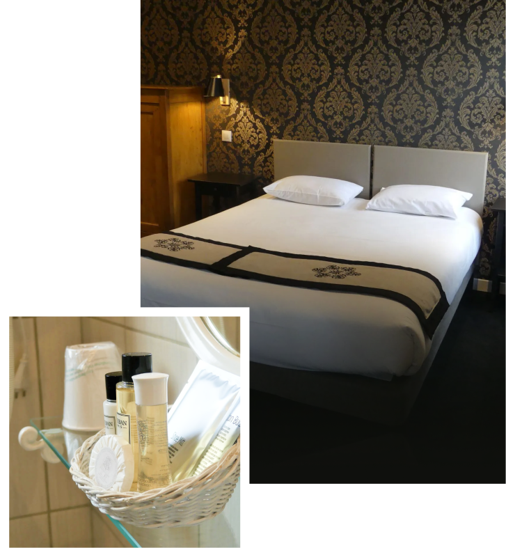 Auberge Du Port Des Roches - restaurant LUCHE-PRINGE - Hôtel Zoo de La Flèche