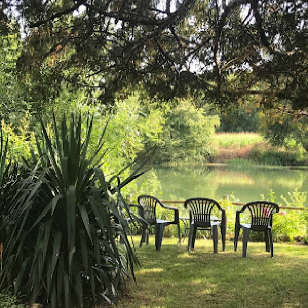 gALERIE - Auberge Du Port Des Roches - restaurant LUCHE-PRINGE - restaurant sympa LUCHE-PRINGE