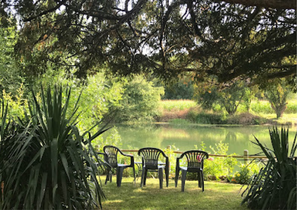 Auberge Du Port Des Roches - restaurant LUCHE-PRINGE - meilleur resto LUCHE-PRINGE